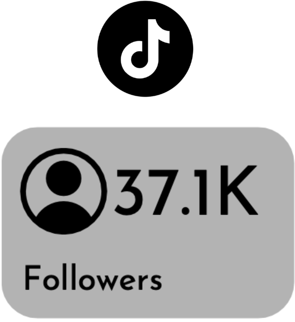 TikTok stats